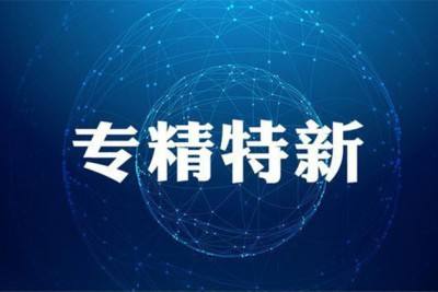 廣東省關(guān)于組織開(kāi)展2020年專精特新中小企業(yè)遴選工作的通知