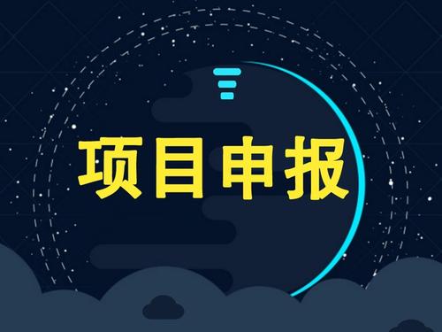 企業(yè)可以獨自申請項目補貼嗎？成功率怎么樣？