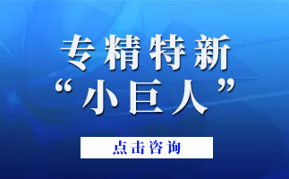 ?廣東省專精特新中小企業(yè)政策