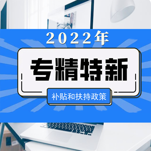 廣東省專精特新中小企業(yè)評分標(biāo)準(zhǔn)