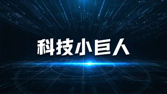 東莞市專精特新中小企業(yè)申報條件、補(bǔ)貼